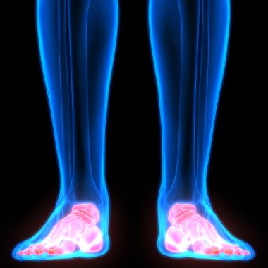 İnsan Kemiği Eklem Ağrısı Anatomisi (Ayak Eklemleri). 3D - Görüntü