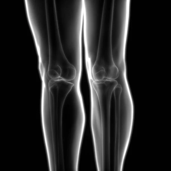 人体骨关节疼痛解剖 腿关节 — 图库照片