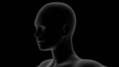 İnsan İskeleti Kafatası Anatomisi. 3D - Görüntü