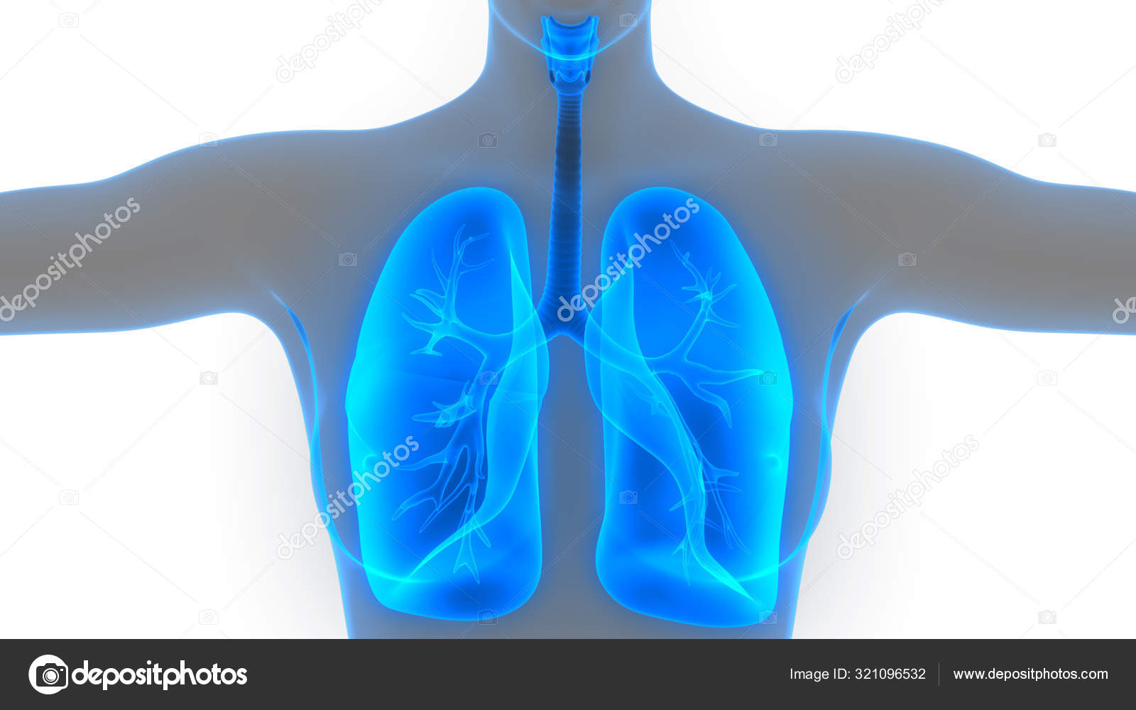 Насыщенные легких кислородом. Профилактика заболеваний дыхательной системы. Профилактика заболеваний органов дыхательной системы. Профилактика инфекционных заболеваний органов дыхания. Патологии органов дыхания профилактика.