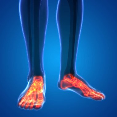 İnsan Kemiği Eklem Ağrısı Anatomisi (Ayak ve Bacak Eklemleri). 3D - Görüntü