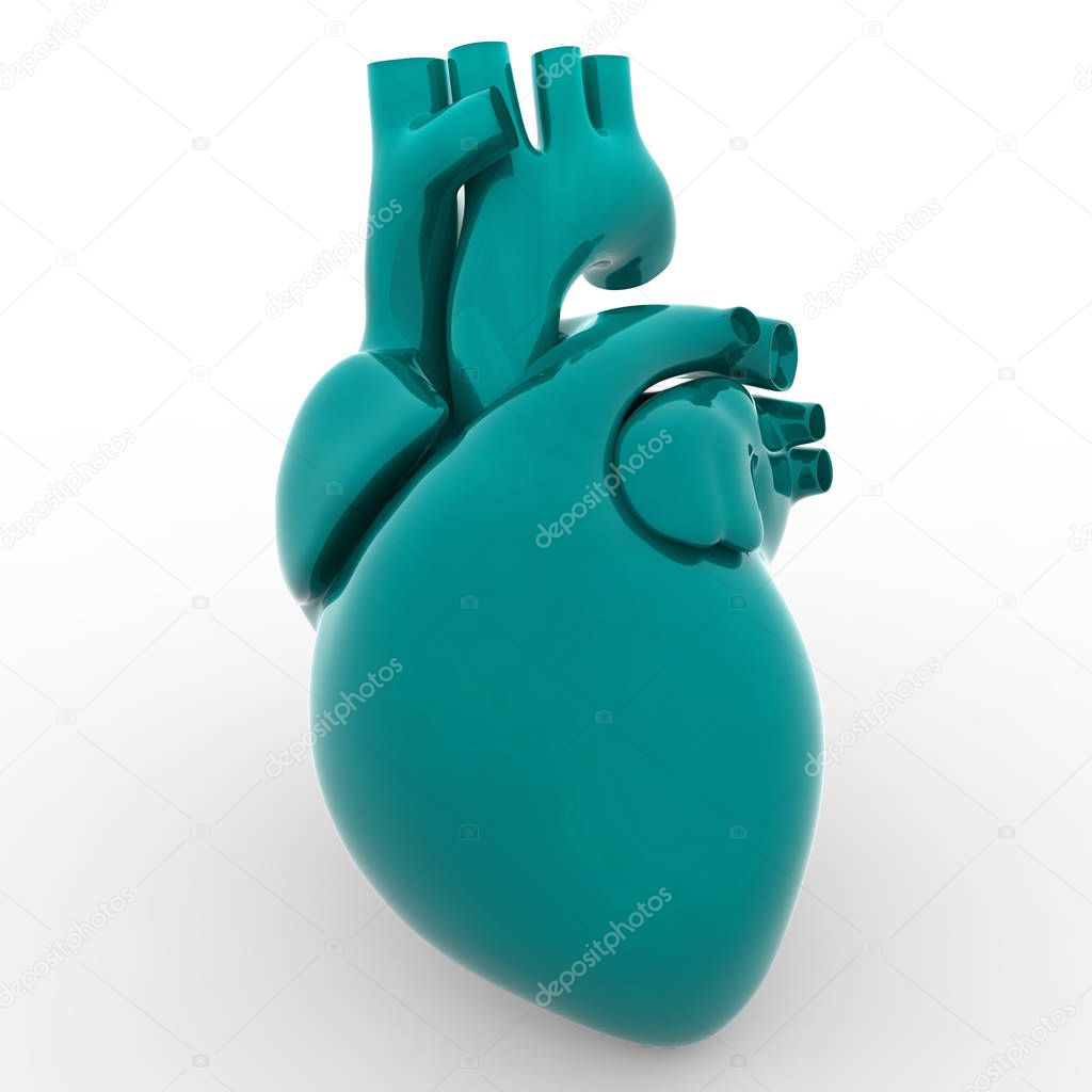 Human Heart Anatomy. 3D - Illustration