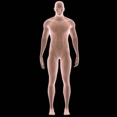 İnsan Erkek Kas Vücut - Görüntü