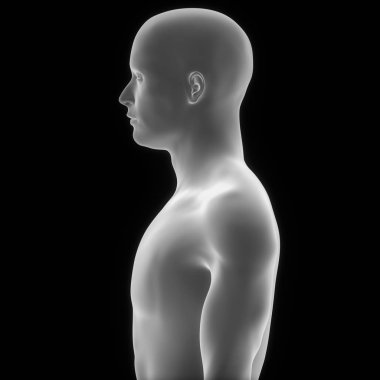 İnsan Kaslı Vücut. 3D - Görüntü