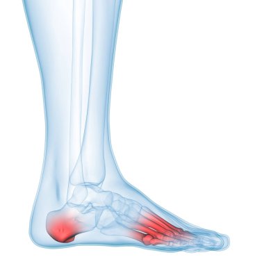 İnsan Kemiği Eklem Ağrısı Anatomisi (Bacak Eklemleri). 3D - Görüntü