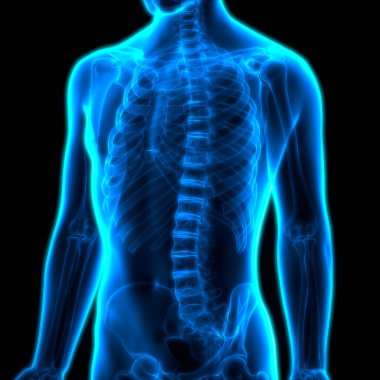 İnsan Kemiği Eklem Ağrısı Anatomisi. 3D - Görüntü