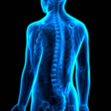 İnsan Kemiği Eklem Ağrısı Anatomisi. 3D - Görüntü