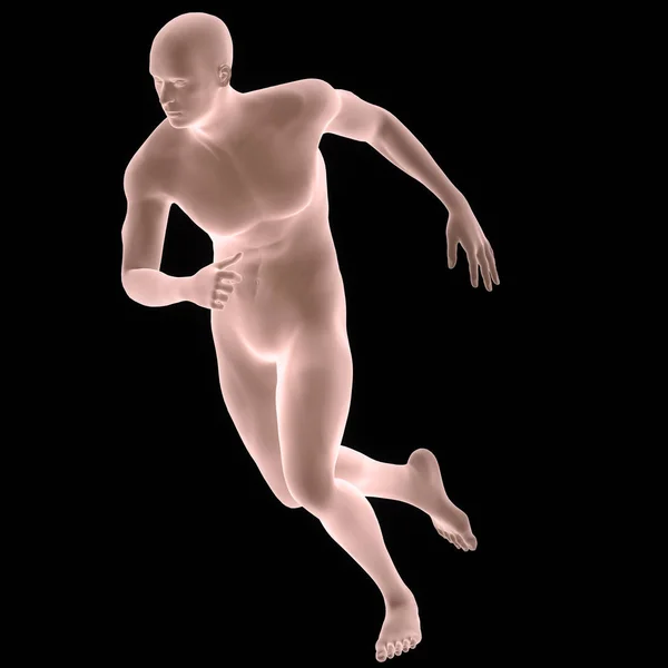Anatomia Corpo Muscular Masculino Humano Correndo Ilustração — Fotografia de Stock