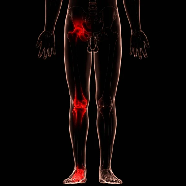 Anatomía Articulación Ósea Del Cuerpo Humano Articulación Rodilla Ilustración — Foto de Stock