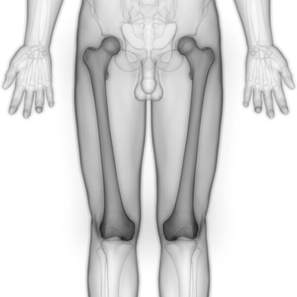 3D-иллюстрация костного сустава скелета человека