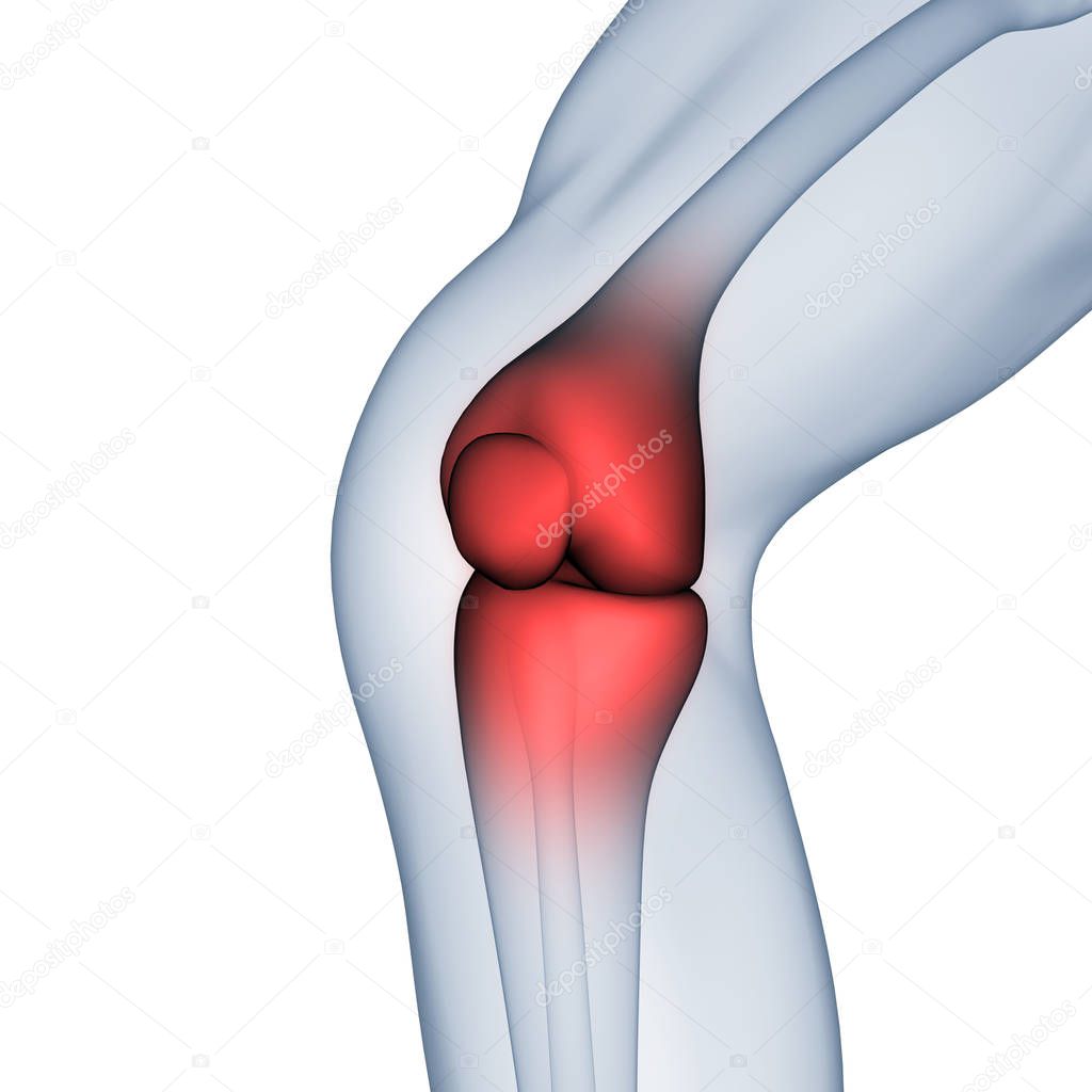 Human Body Bone Joint Pains (Knee Joint). 3D - Illustration