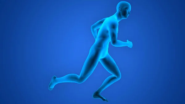 Anatomie Des Menschen Running Man — Stockfoto