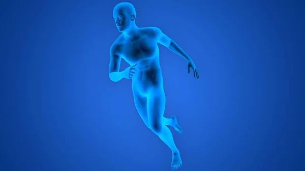 Anatomie Des Menschen Running Man — Stockfoto