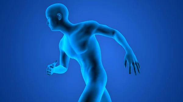 Anatomia Człowieka Running Man — Zdjęcie stockowe