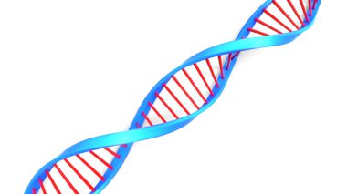 DNA Yapısı 'nın Dijital İllüstrasyonu. 3d