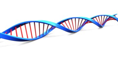 DNA Yapısı 'nın Dijital İllüstrasyonu. 3d