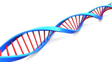 DNA Yapısı 'nın Dijital İllüstrasyonu. 3d