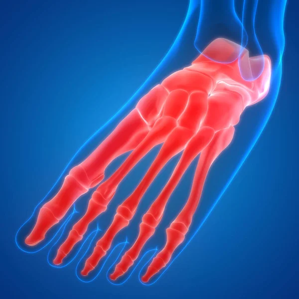 Human Body Bone Joint Pains Foot Joints Bones Illustration — Stock Photo, Image