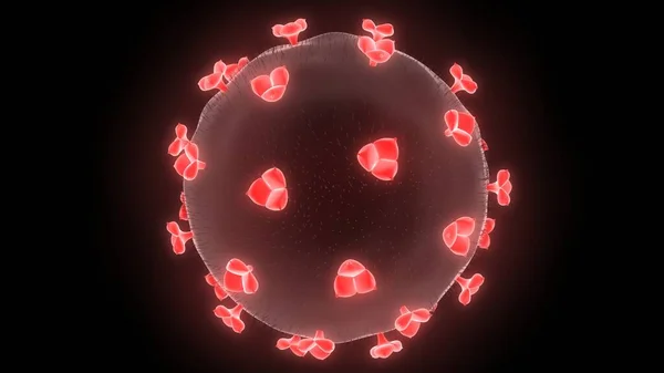 Corona Virus Disease Virus Infections Prevention Methods — Stock Photo, Image