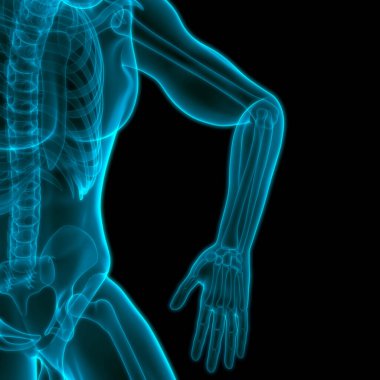 İnsan iskeleti eklem ağrıları (Hand Joint). 3D - Görüntü