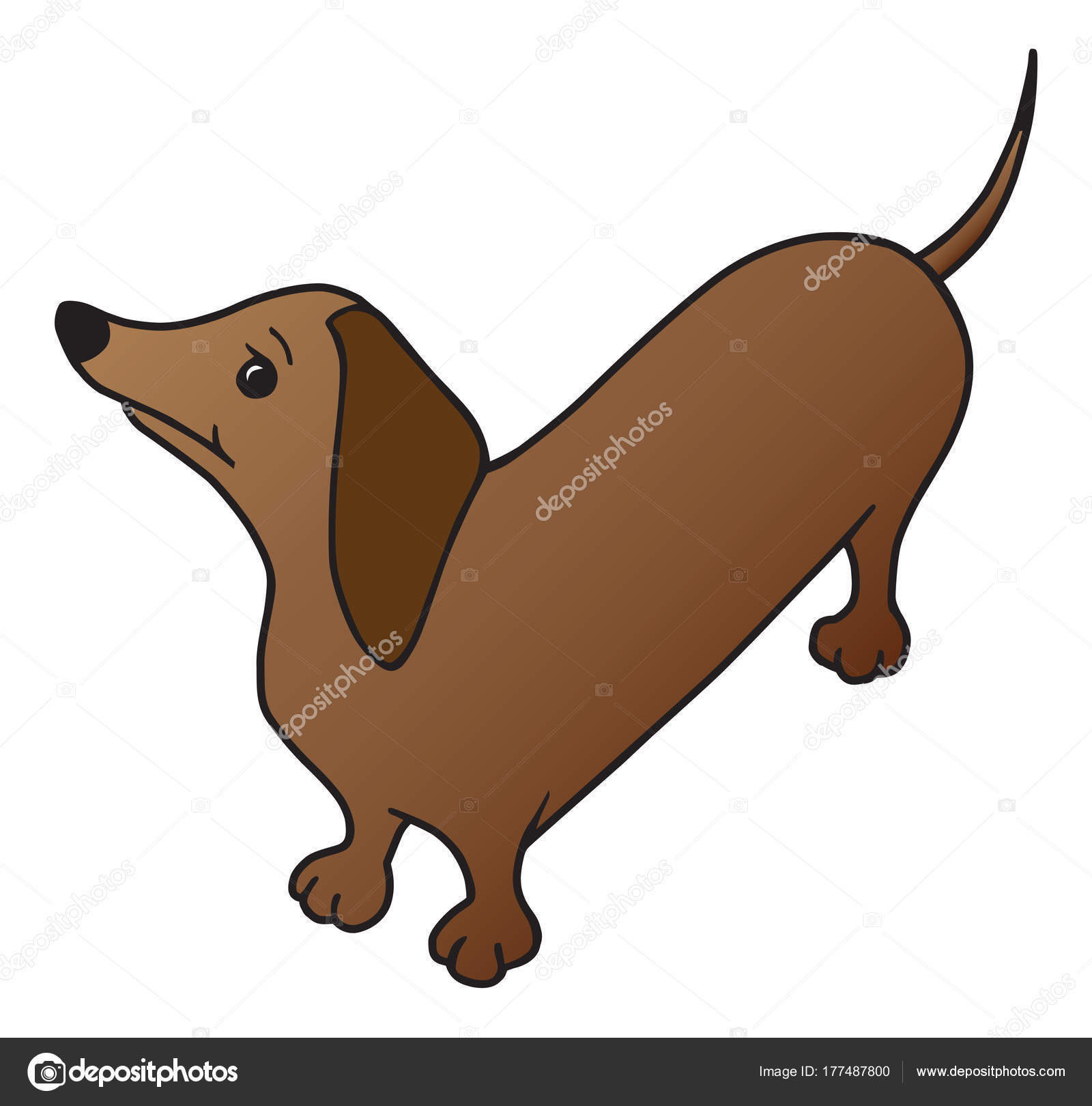Grande Weiner foto