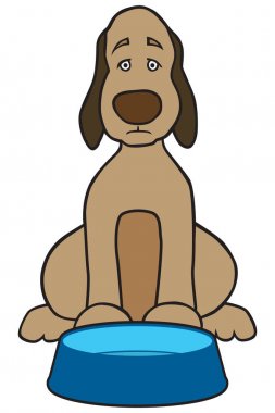 Akşam yemeği isteyen köpek