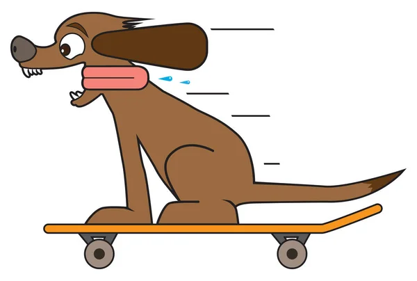 Chien sur une planche à roulettes — Image vectorielle