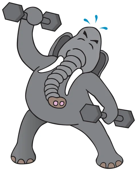 Esercizio elefante con pesi — Vettoriale Stock