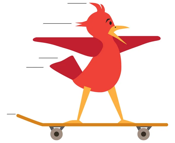 Vogel auf dem Skateboard — Stockvektor