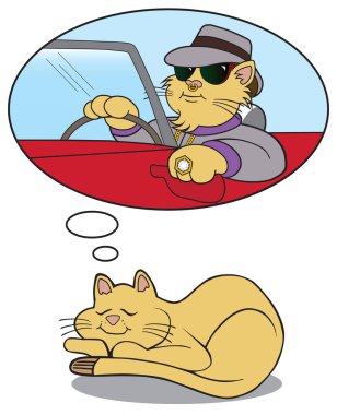 Uyuyan bir kedi büyük bir başarı ve servet hayal eder.