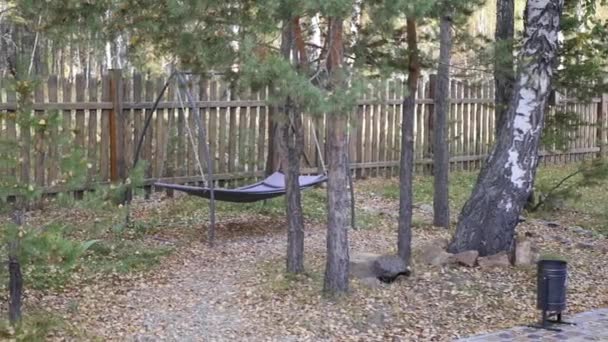 Hängmatta i skogen — Stockvideo