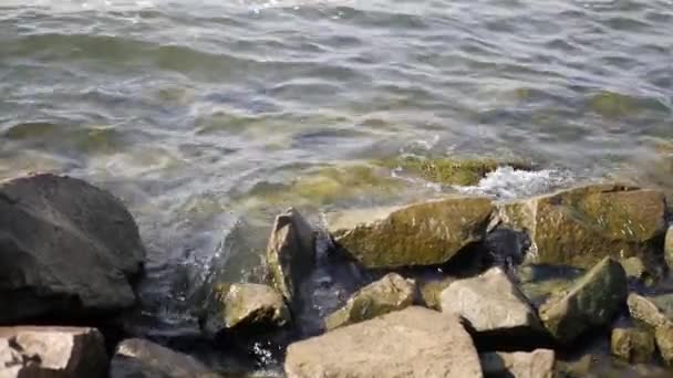 Ήρεμα κύματα, που καλύπτεται με πέτρες — Αρχείο Βίντεο