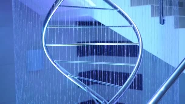 ДНК-модель в комнате — стоковое видео