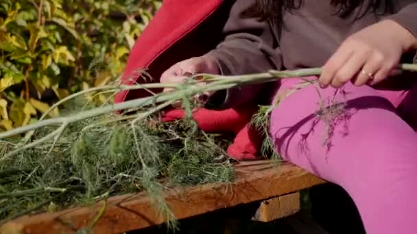 女の子は、収穫を収集します。 — ストック動画