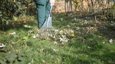 Bahçıvan çatal yeşil çim öldürür