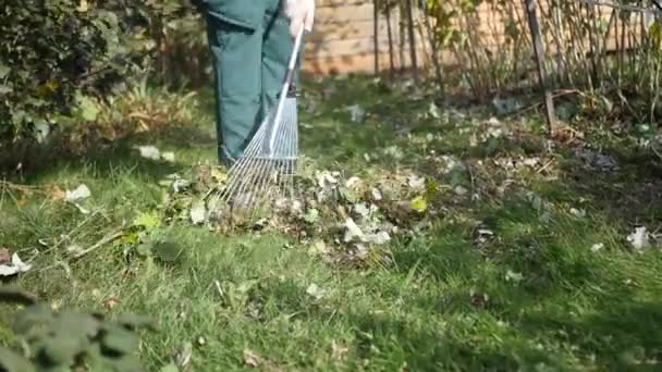 Κηπουρός σκοτώνει πιρούνια πράσινο γρασίδι — Αρχείο Βίντεο