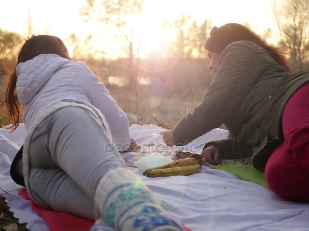 Deux amis buvant du thé à l'extérieur — Video