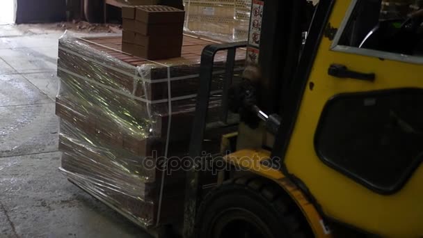 Cegły pakowane na ciężarówki — Wideo stockowe