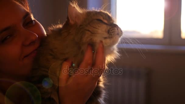 Menina segurando um gato em seus braços, acariciou-o, coçando seu cabelo — Vídeo de Stock