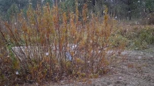 Sur la rive de la rivière près des buissons se trouve un VTT et une jeep qui neige lentement, HD . — Video