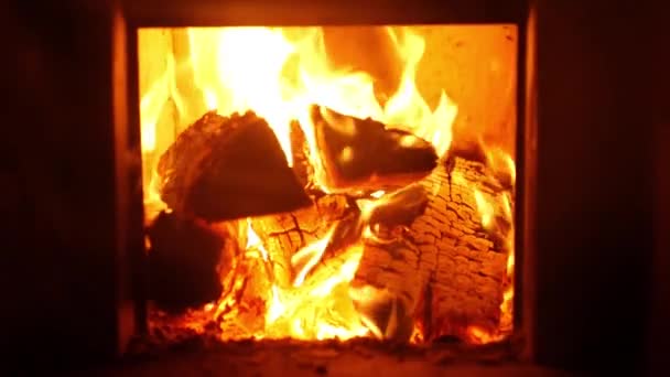 Warm berken logs in de brand in de oven, slow-motion — Stockvideo