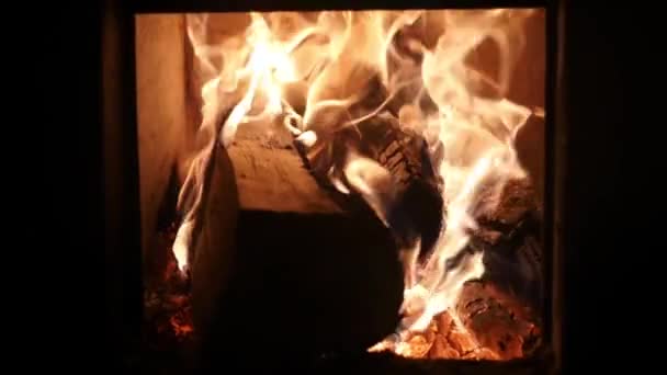 Огонь окутал березовые бревна в печи, замедленное движение — стоковое видео