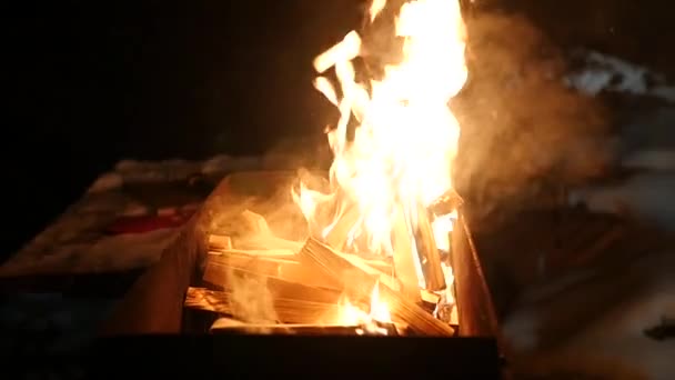 Zeitlupe. Holzstämme brennen in einem Kohlenbecken auf der Straße — Stockvideo