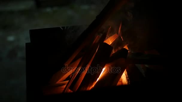 Trä stockar brinnande i en brazier, ultrarapid, Hd, 1920 x 1080 — Stockvideo