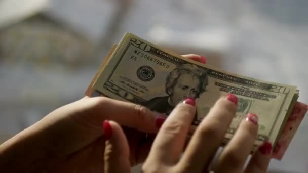 Dziewczyna trzyma banknoty 20, patrzy na nich, głaskanie, opowiadać. 4 k., 3840 x 2160 — Wideo stockowe