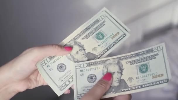 Dólares verdes novos bonitos nas mãos das mulheres, de que faz um ventilador, 4k, 3840x2160 — Vídeo de Stock
