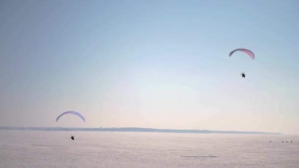 Två paraglider sväva över marken täckt med snö mot den blå himlen. Slow Motion. 1920 x 1080. Hd — Stockvideo