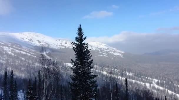 カメラは、背景には山、森、空、雲の上まで松と白樺林の斜面を移動します。ビジュアルエフェクト 1920 x 1080. — ストック動画