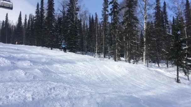 En ung manlig skidåkare stiger ned i sluttningen genom skogen och gör ett hopp på studsmattan. HD. 1920 x 1080. — Stockvideo