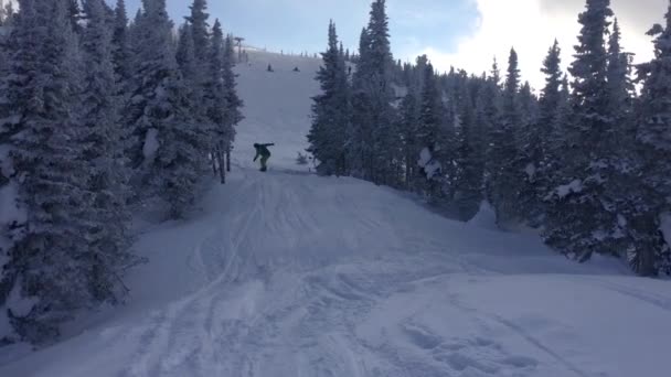 En snowboardåkare i en ljus kostym och hjälm, passerar mellan de snötäckta granarna på små studsmattor och hoppa på dem. HD. 1920 x 1080. — Stockvideo